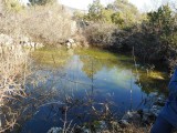 DSCN5341